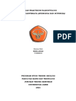 Laporan Paleontologi Filum Coelenterata - Nurul Azizah - F1D220010 - Kel 3