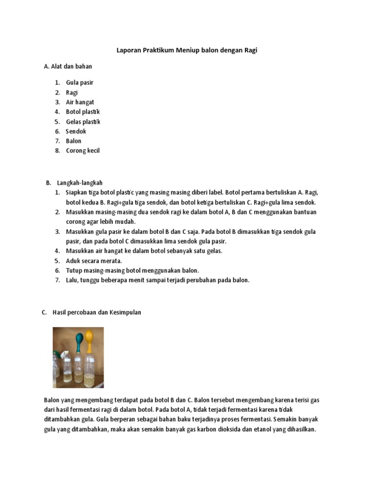 Laporan Praktikum Fermentasi Ragi | PDF