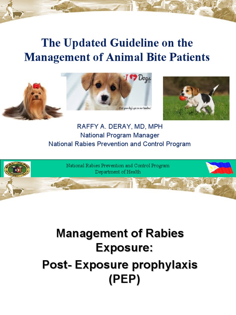 Management of Animal Bite Patients PDF Rabies Health Care