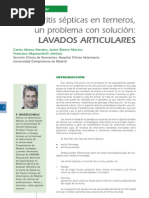 2 Artritis sépticas