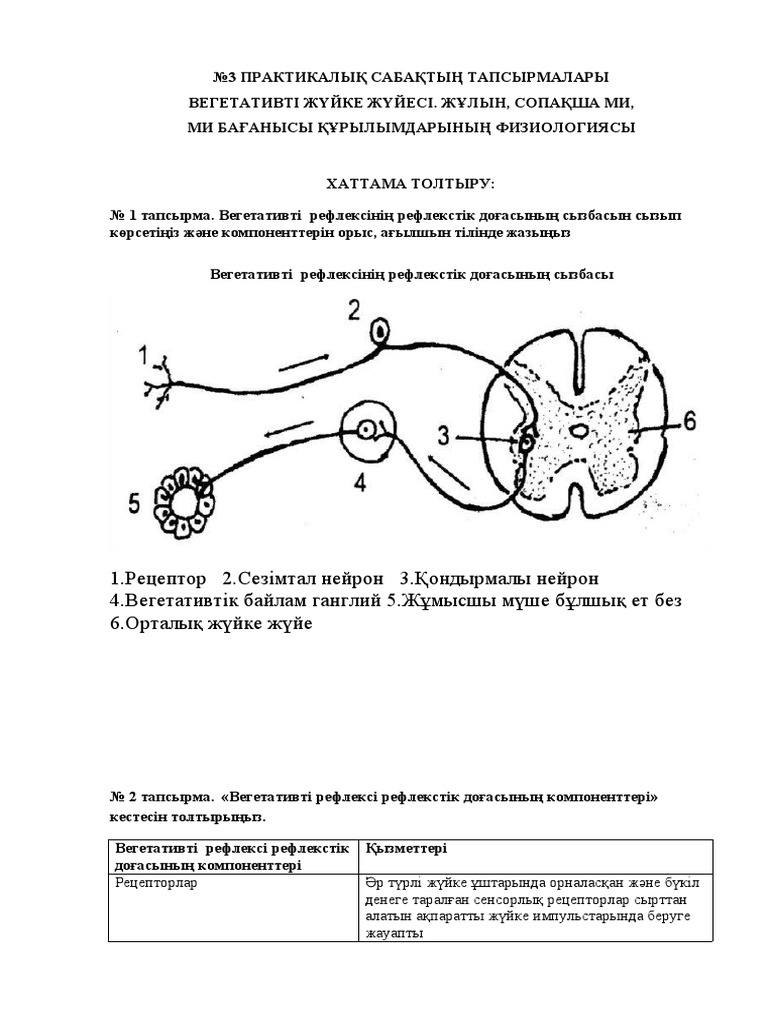 Екі жыныс мүшесі үлкен адамдар