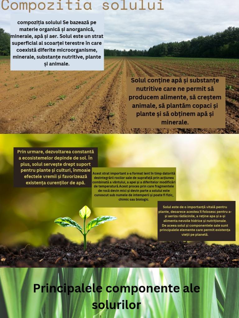 Compoziția Solului | PDF