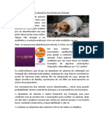 Texto Expositivo Português 9ºano Tema: "O Abandono de Animais"