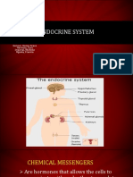 Endocrine System PDF