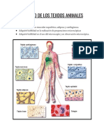 Estudio de Tejidos Animales Informe