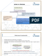 Mutaciones A Pequeña Escala