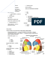 Resumo Sistema Respiratorio