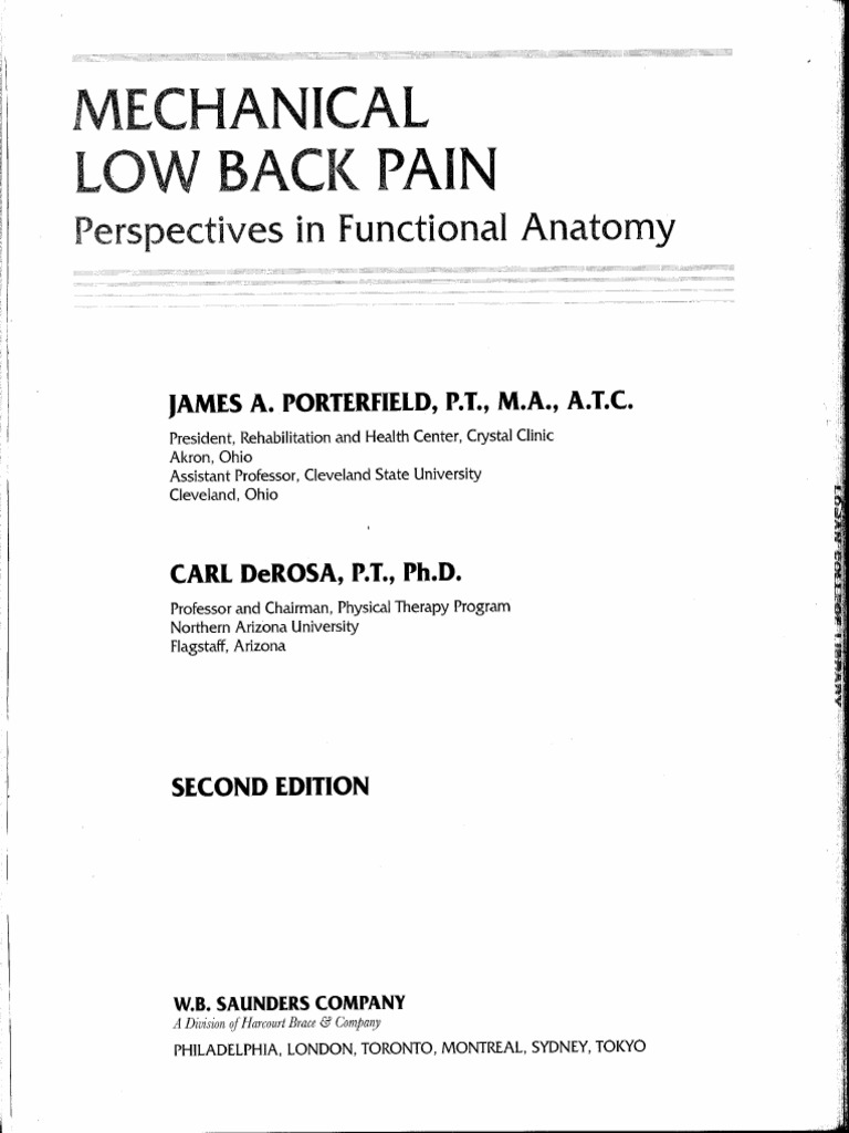 Mechanical Low Back Pain Perspectives in Functional Anatomy, 2e by