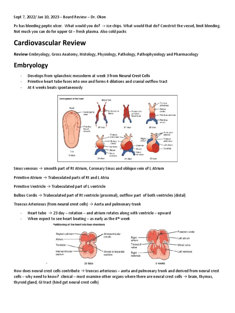 Cardiac Development and Congenital Defects | PDF | Congenital Heart ...