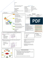 Resumen Test 1 Simulación