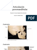 Articulación Temporomandibular.: Ponente: Dr. Ernesto Alejandro Rivas Hernández. Asesor: Dr. Alcides Gómez