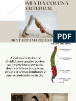 Anatomia Da Coluna Vertebral