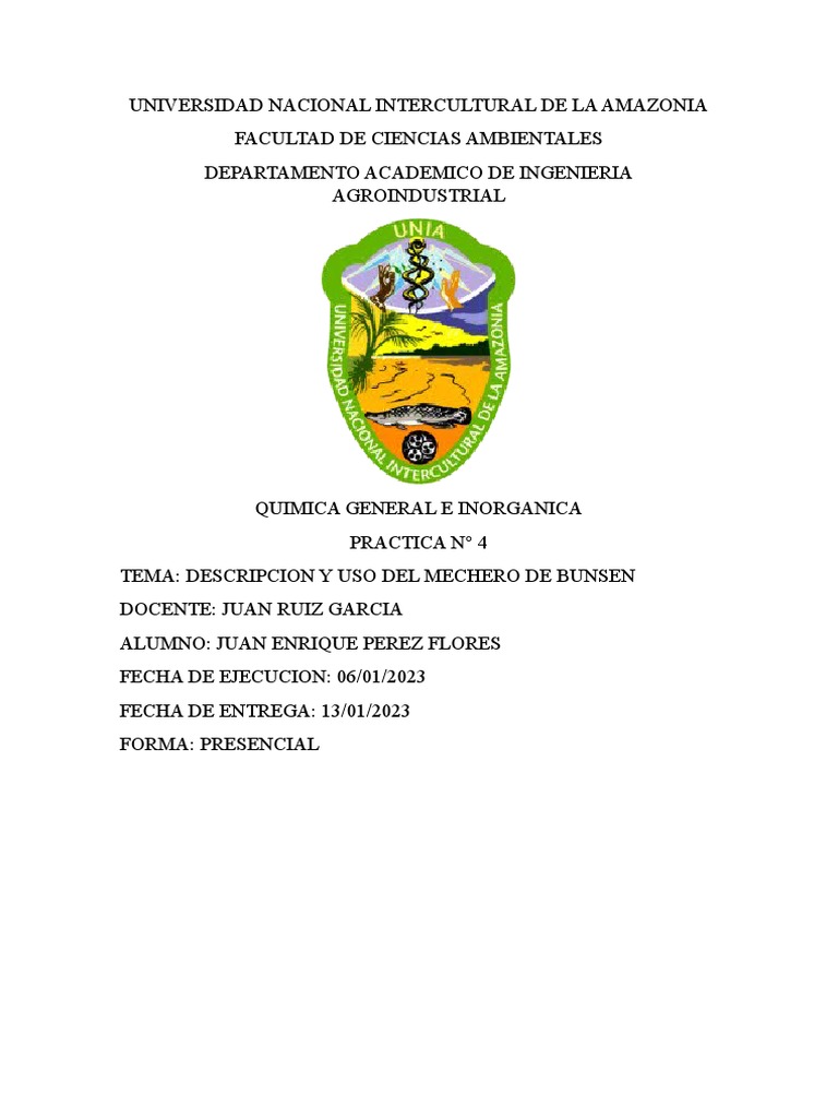 Universidad Nacional Intercultural de La Amazonia | PDF