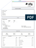 Afig - Relatório Ana Luisa