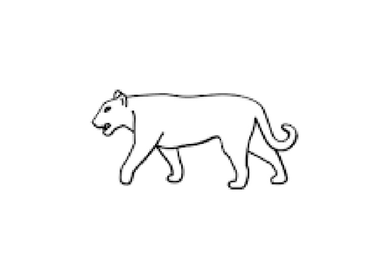 Puma | PDF