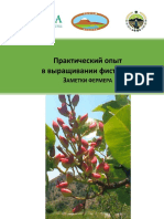 MYUF78Hki5N9pbFLHWZLiYnHS8ipD0 (Hands On Experience of Growing Pistachios in Kyrgy... )