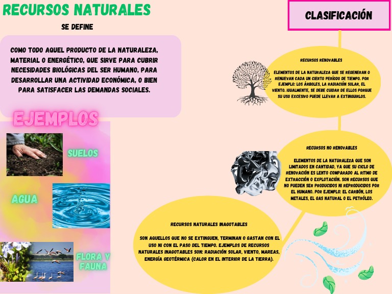 Se define pdf econom a y medio ambiente entorno natural