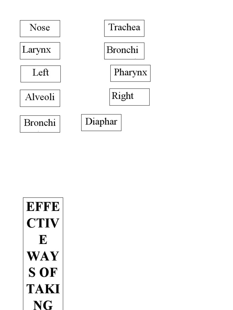 effective-ways-of-taking-care-of-one-s-respiratory-and-circulatory