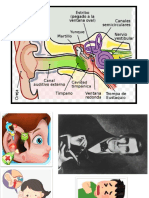 Dolor Oido