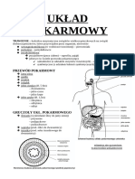 Układ Pokarmowy