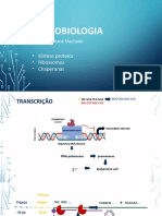 Microbiologia - Aula 2