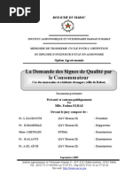 mémoire Fatima ELBAZ
