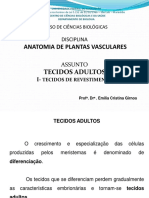 Tecidos Revestimento pdf