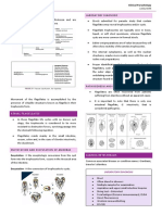 Parasitology (Lect #4) Trans