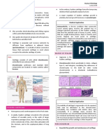 HistoPath (Lect #4) Trans