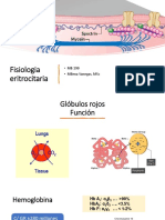 2b - Fisiología Eritrocitaria