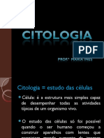 Citologia Introduo Histrico 141102162310 Conversion Gate01