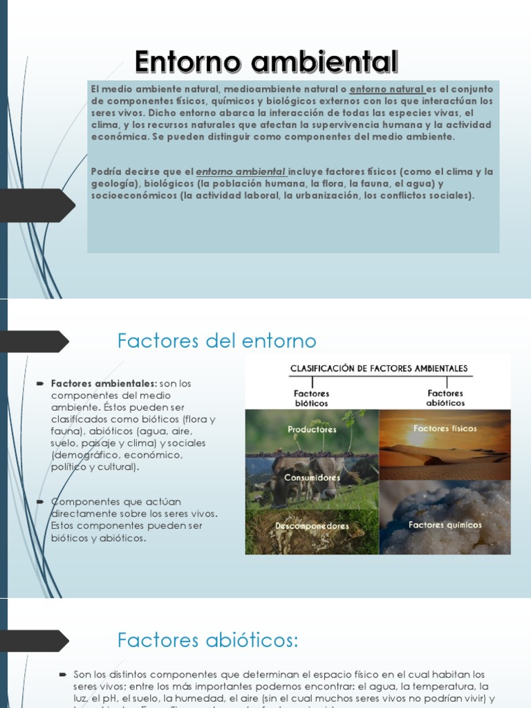 Entorno Ambiental | PDF | Entorno natural | Evaluación de impacto ambiental