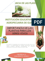 Importancia de Las Plantas Ieta