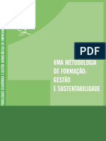 Viabilidade Economica e Gestão Democrática de Empreendimentos Associativos, Vol 1. CAPINA, 2009.