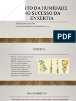 Efeito Da Humidade No Sucesso Da Enxertia: Trabalho Realizado Por: Luísa, Matilde Peniche, Mário E Pedro 11A14