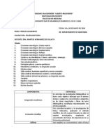 Informe de Las Investigaciones Neuroanatomìa I - 2020