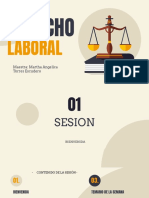 Presentacion de Derecho Laboral
