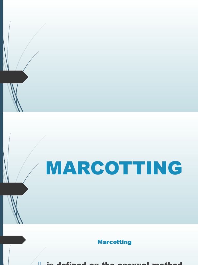 Marcotting Final PPP | PDF | Home & Garden | Art