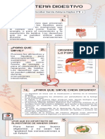 Infografía. SISTEMA DIGESTIVO