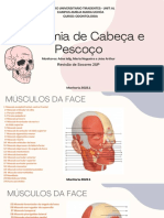 Revisão 2UP Anatomia Cabeça e Pescoço