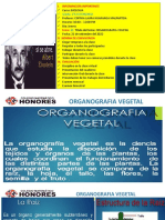 1°a - 21 Organografia Vegetal