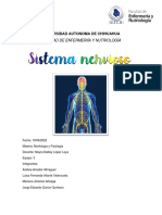 Sistema nervioso autónomo (SNA