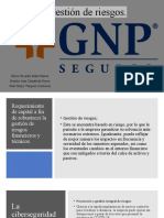 Gestion de Riesgos GNP