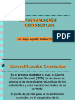 Presentación Programación - Diversificación