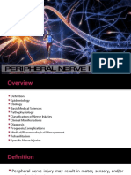 Peripheral Nerve Injuries - Medical Applications