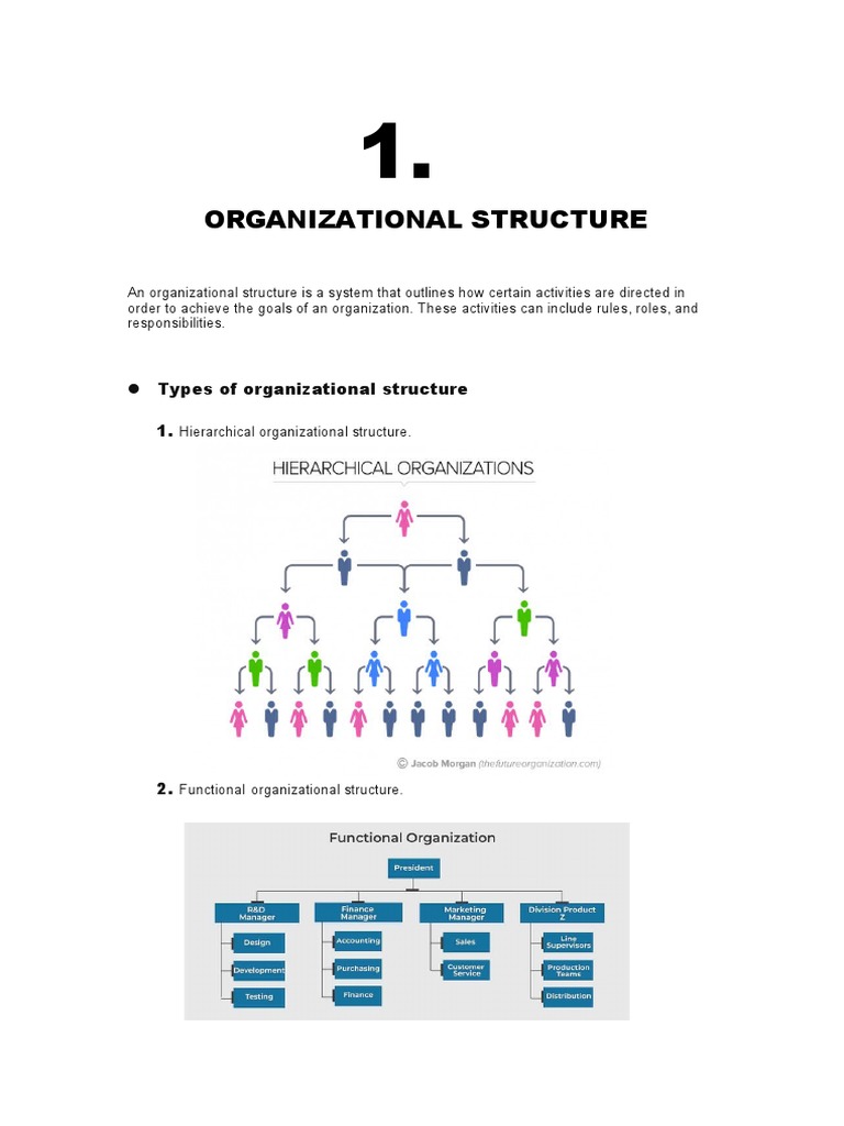 Organizational Structure | PDF