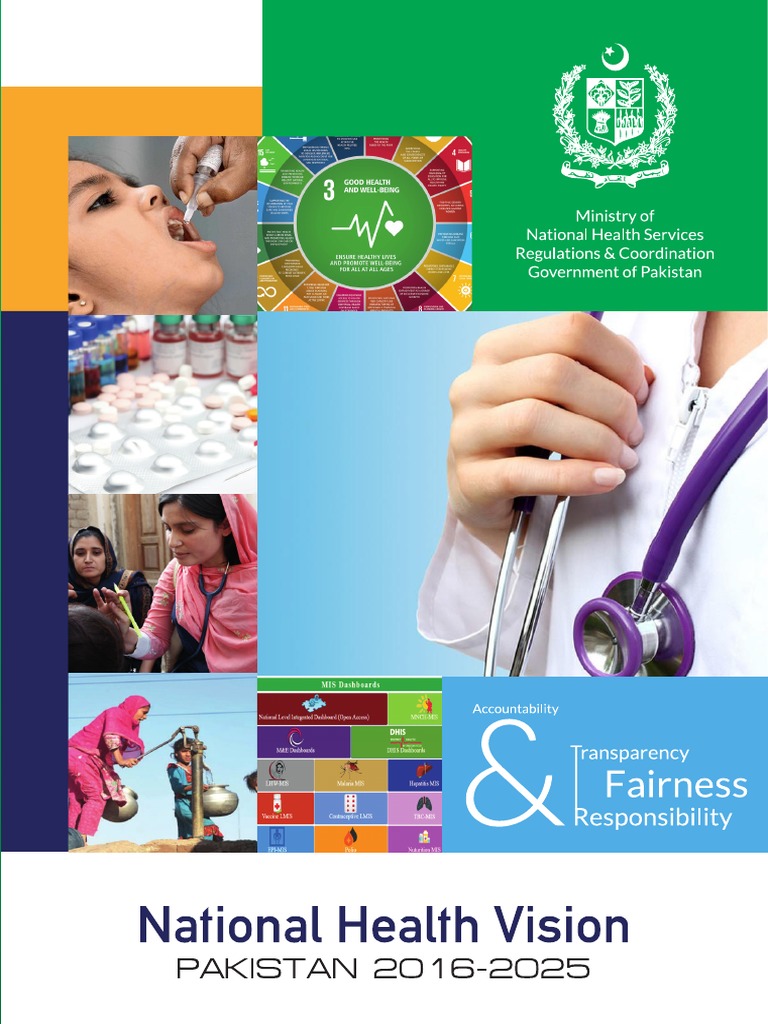 National Health Vision Pakistan 20162025 PDF Health Care Public