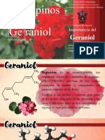 Importancia Del Geraniol. Q Organica. Los Propinos. LQFB