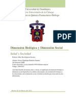 Dimensión Biológica y Dimensión Social. Salud y Sociedad. Bañuelos Jiménez Jessica Guadalupe LQFB