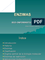 Bioinformática de enzimas: clasificación, aplicaciones y papel en el dogma central